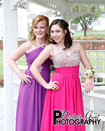 Prom1L